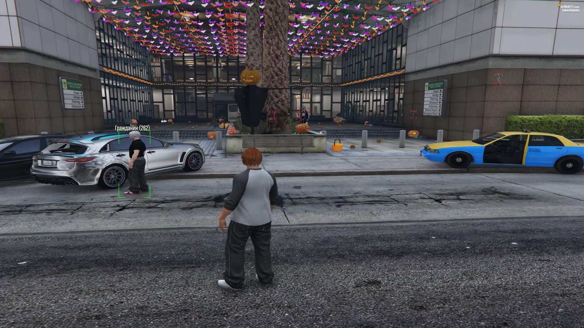 melonity gta5 ragemp